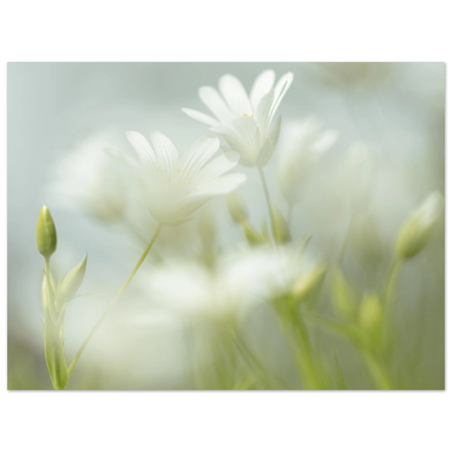 00311a51-ad80-4a8e-891e-ead9ea1a6ef8