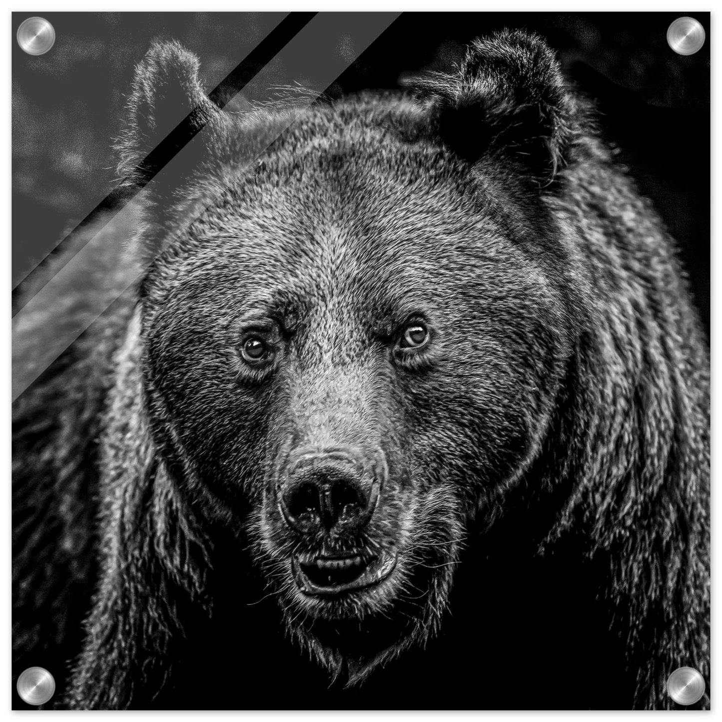 14c12e5f-c8ec-4228-8626-78a2ca5823f4