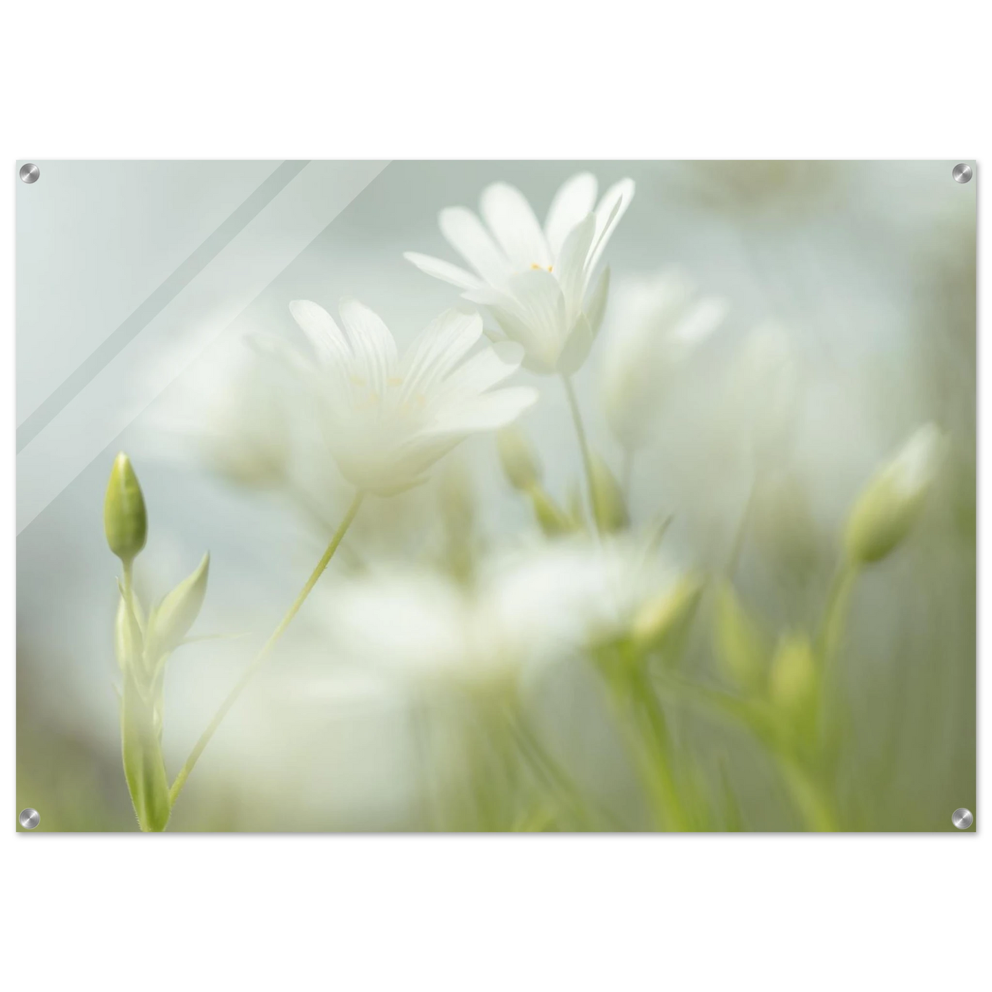 2ae50acd-ea36-4c20-8a62-67f8b7b03cb1