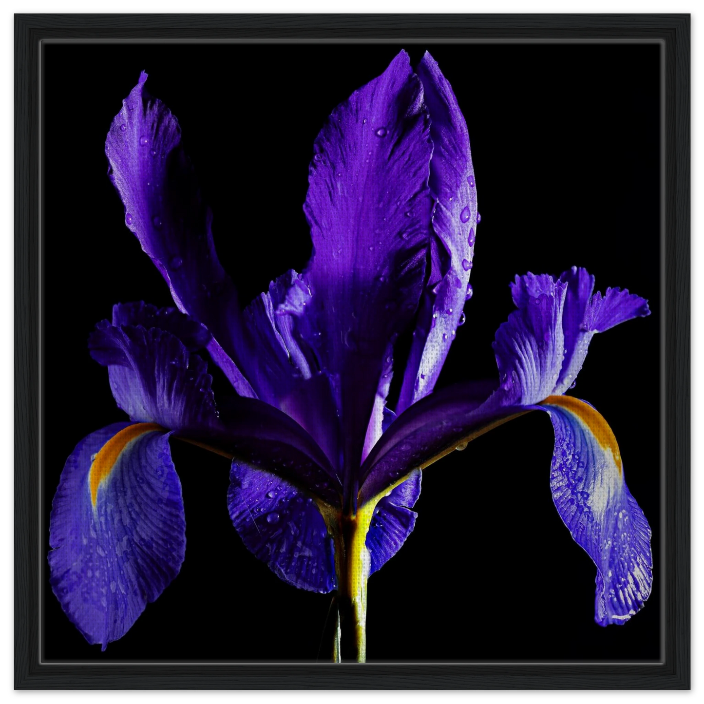 2f43de20-8ab1-4373-ae7a-79721f8be570