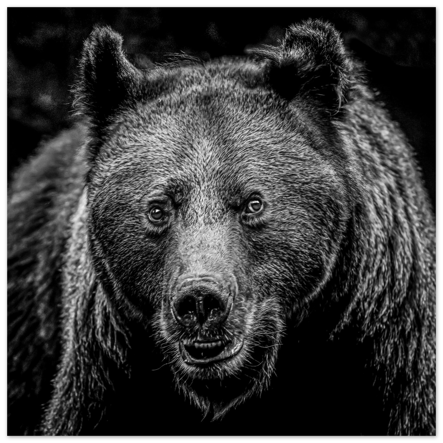 4f341328-eb99-48d7-9643-2969a98ee520