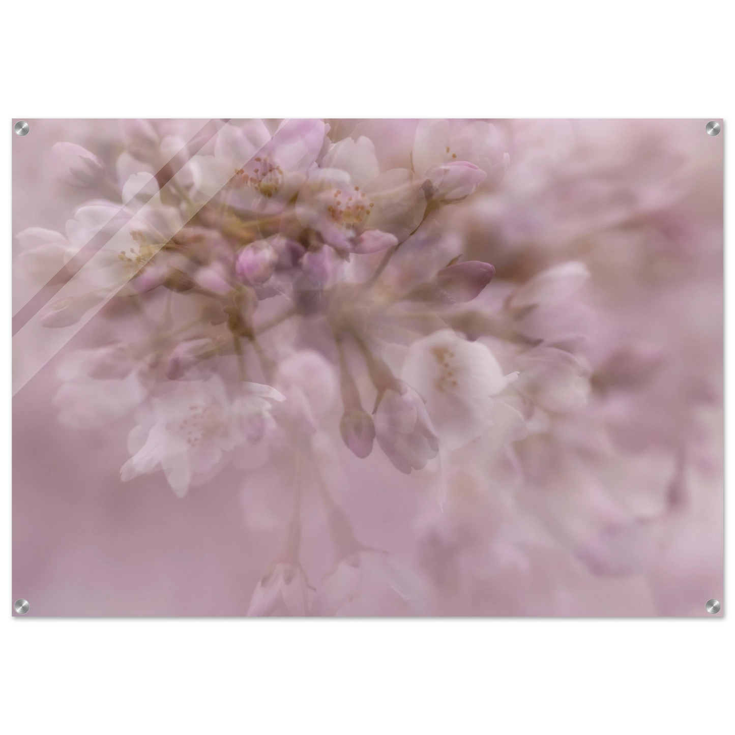 6f50c9b3-2da0-41f7-aa1e-f8411562ff60