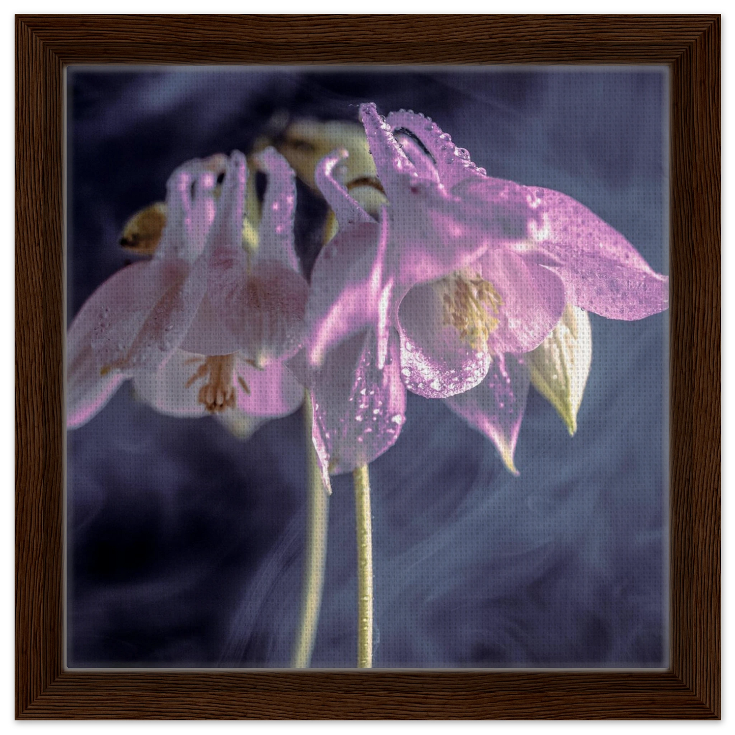76cbcf11-b076-443b-b19d-663f5f4d5a1a