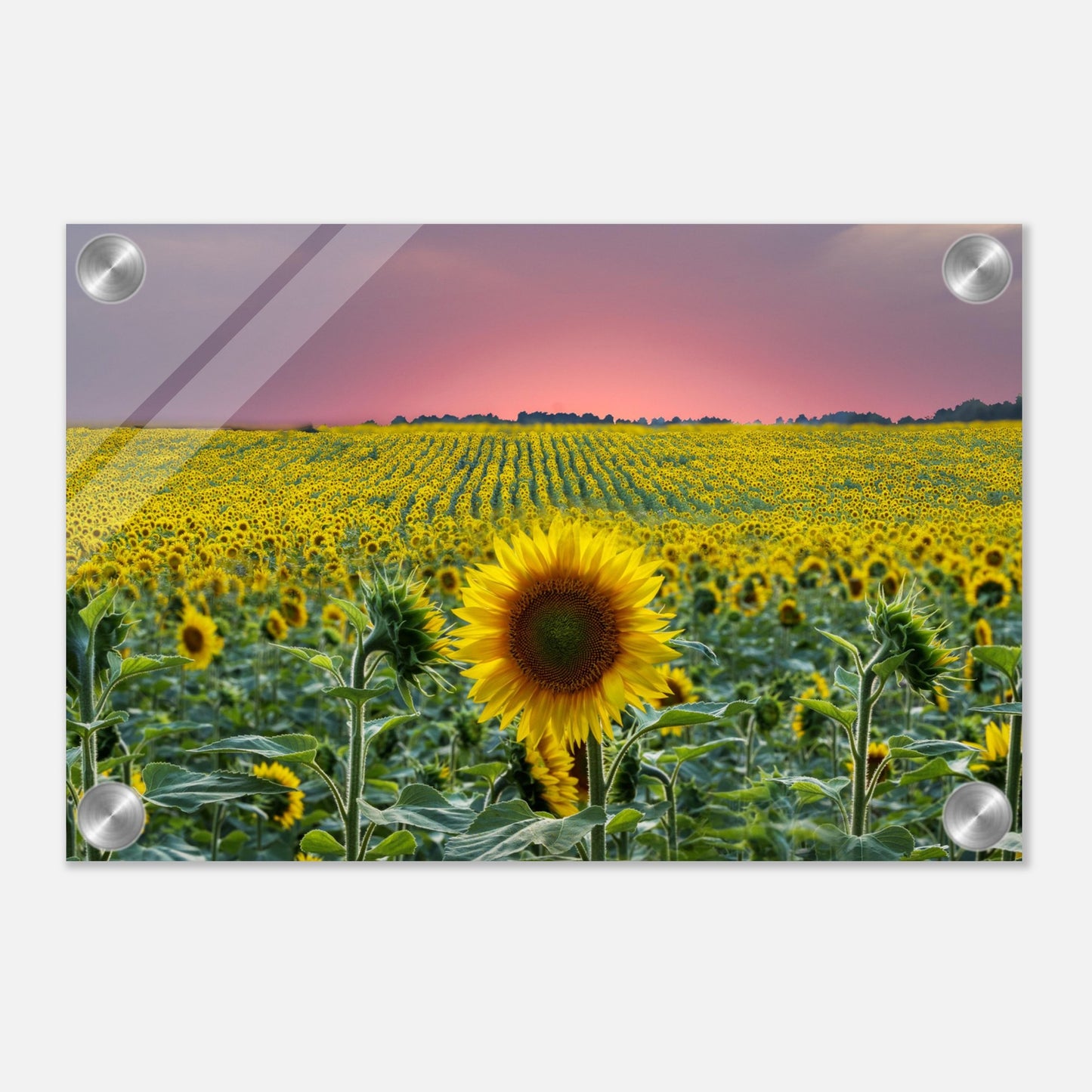 942c560c-852e-4311-a0b7-5b4c5263f093