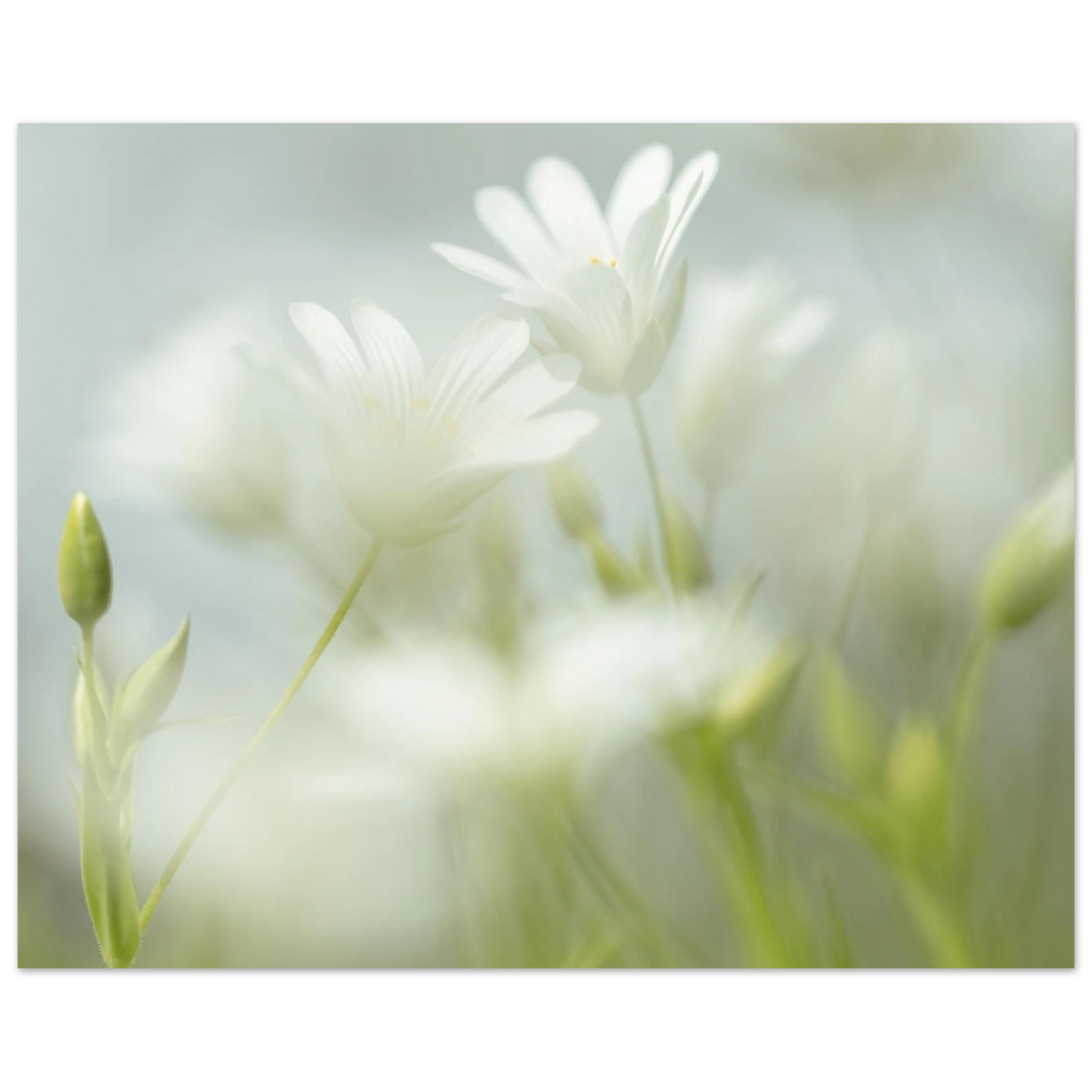 d57b9b0d-77b5-4b82-a415-6f2d33b07035