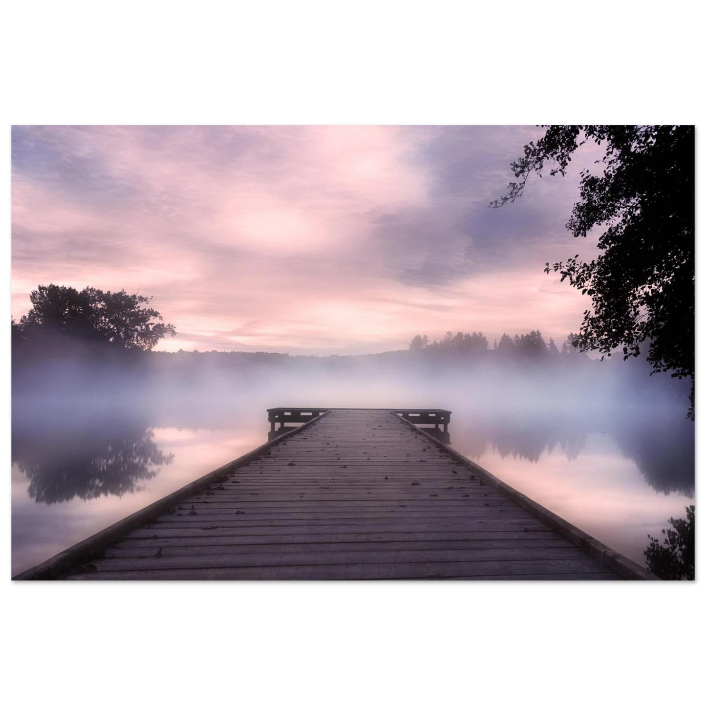 ee222904-0730-4986-a965-ddff502d1cff