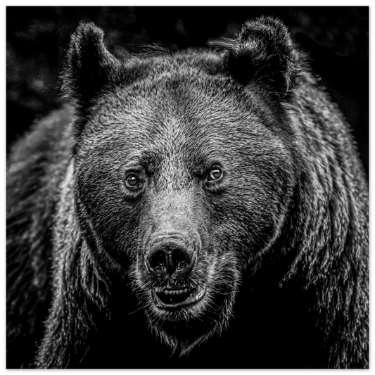 4f341328-eb99-48d7-9643-2969a98ee520
