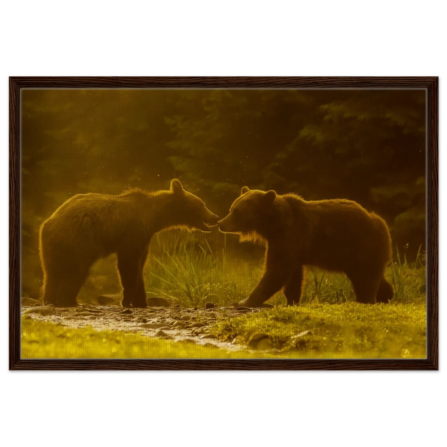 76e37607-84ff-43ee-8d01-554fe12047f1