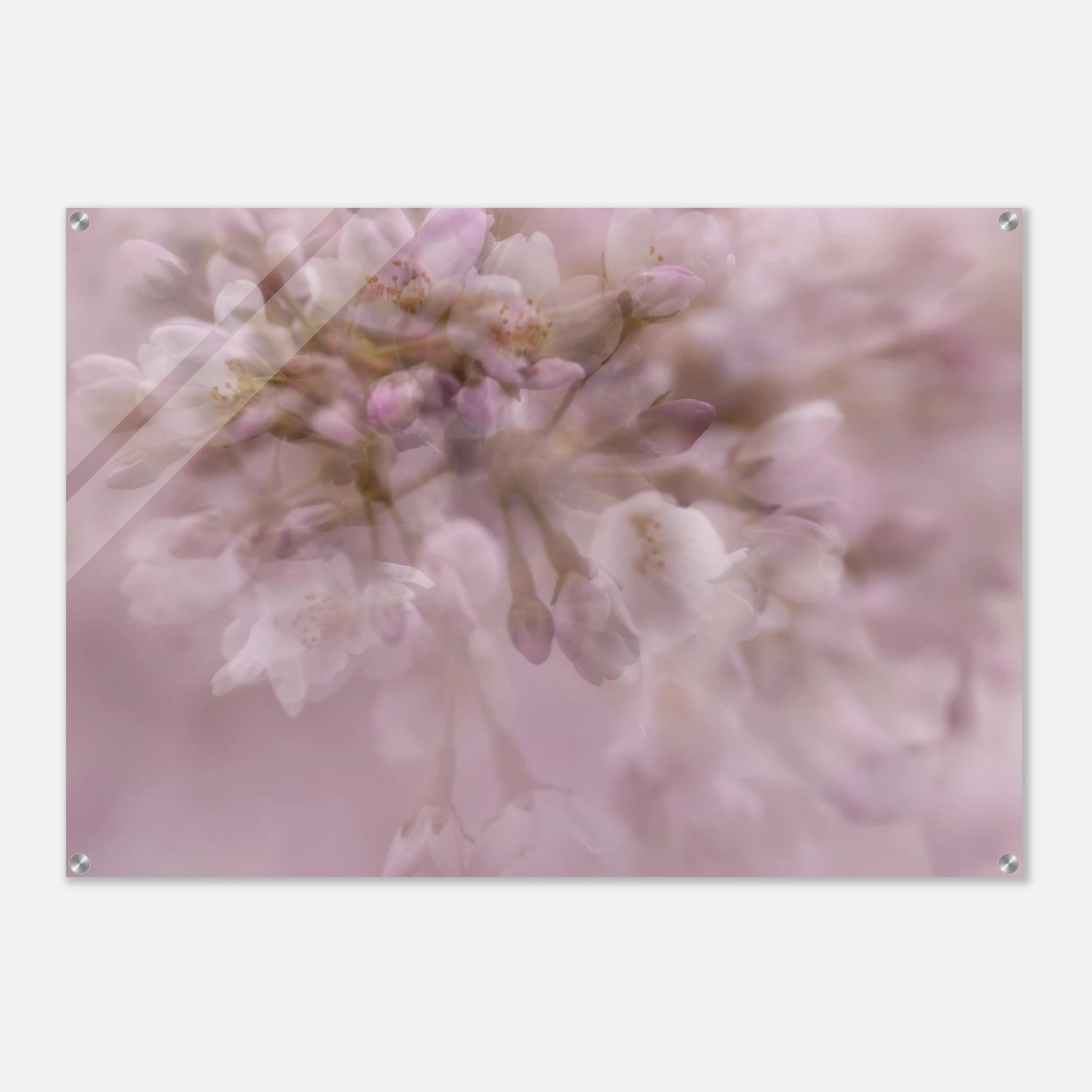 8ded7687-f908-446e-90c4-bbffcfe90b16